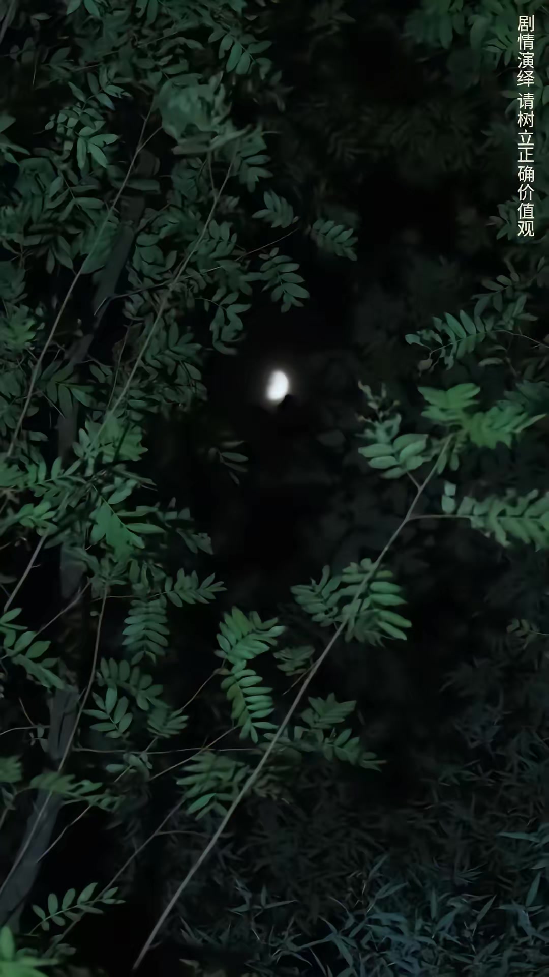 《鱔有善報》劇照