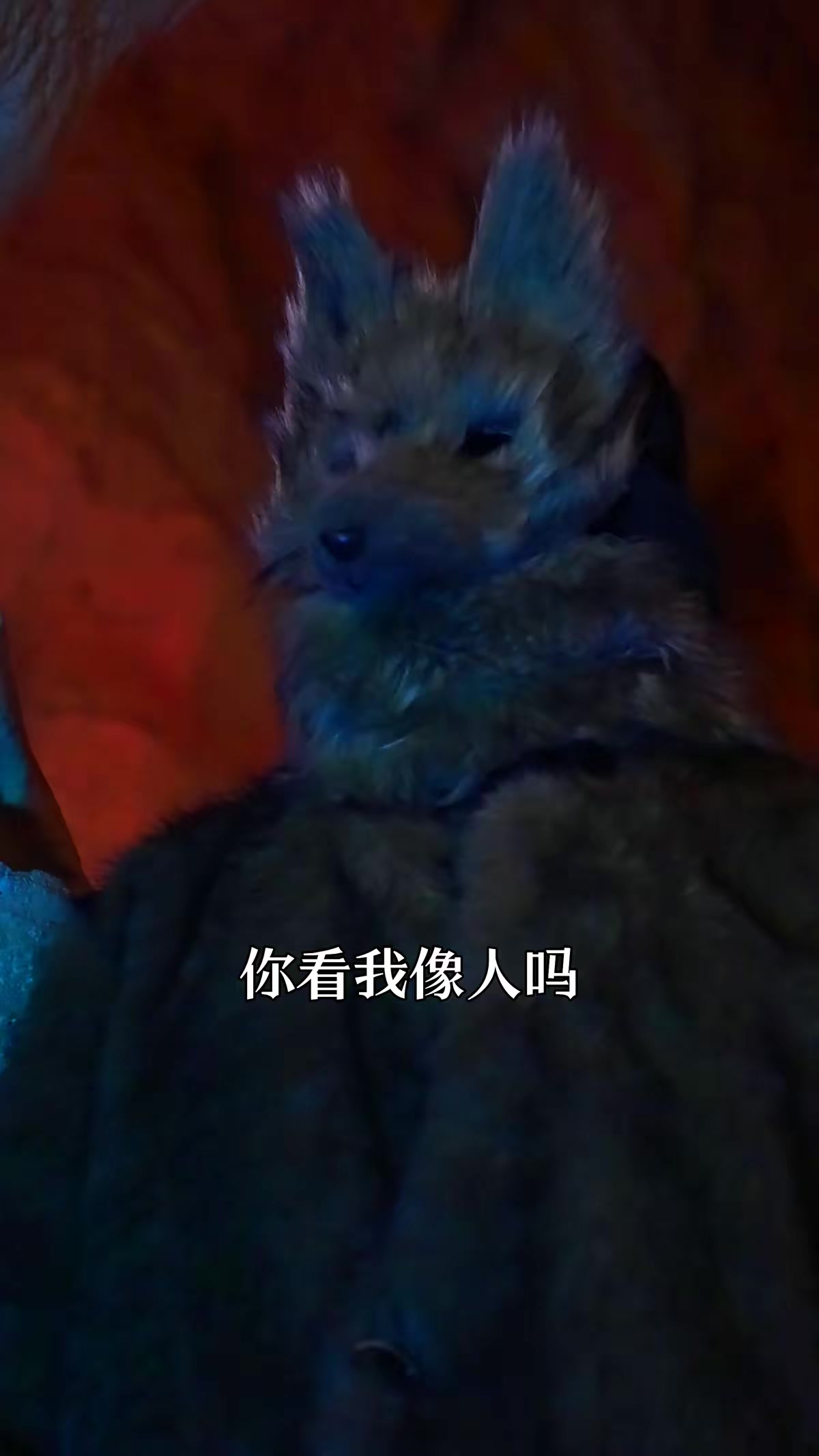 《黄皮讨封》剧照