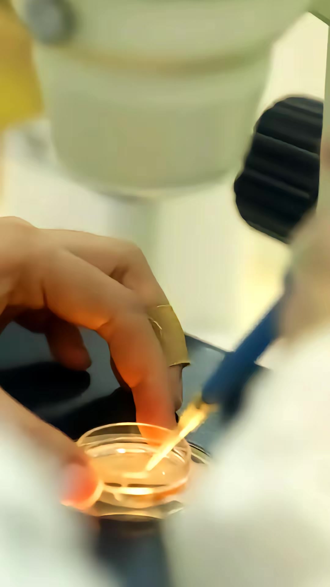 《我欲成仙》剧照
