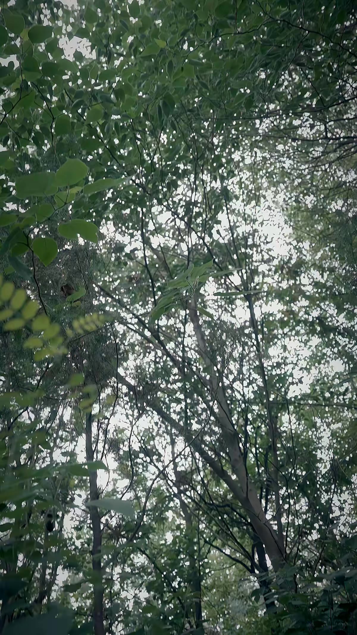 《兇獸追痕》劇照