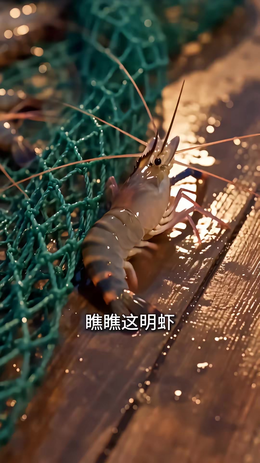 《重回1980：深海獵王從趕海開始》劇照