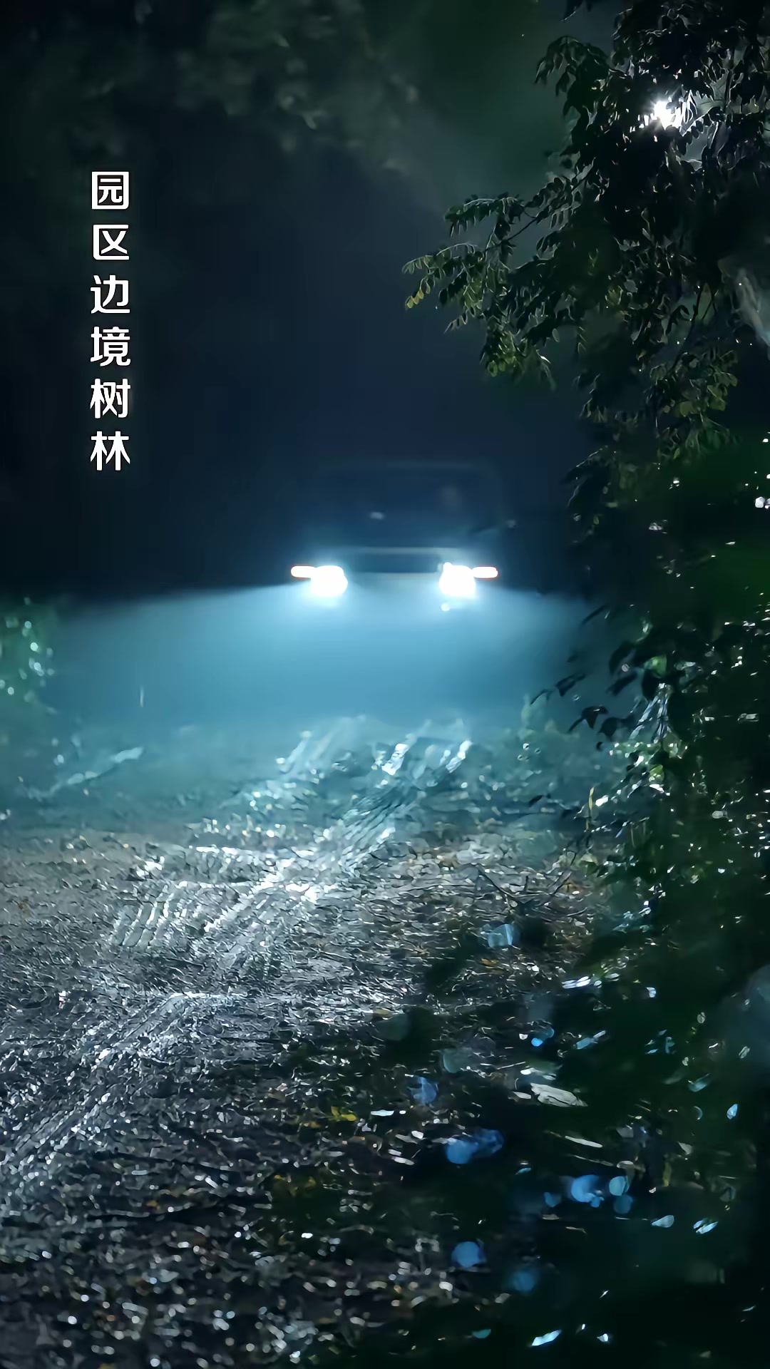 《獵金：逃出緬北》劇照