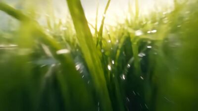《萬妖圖錄傳第十三季》劇照