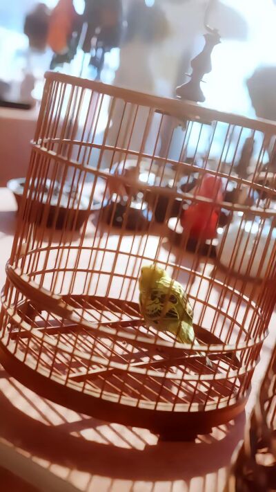 《我孫子怎麼成鸚鵡了》劇照