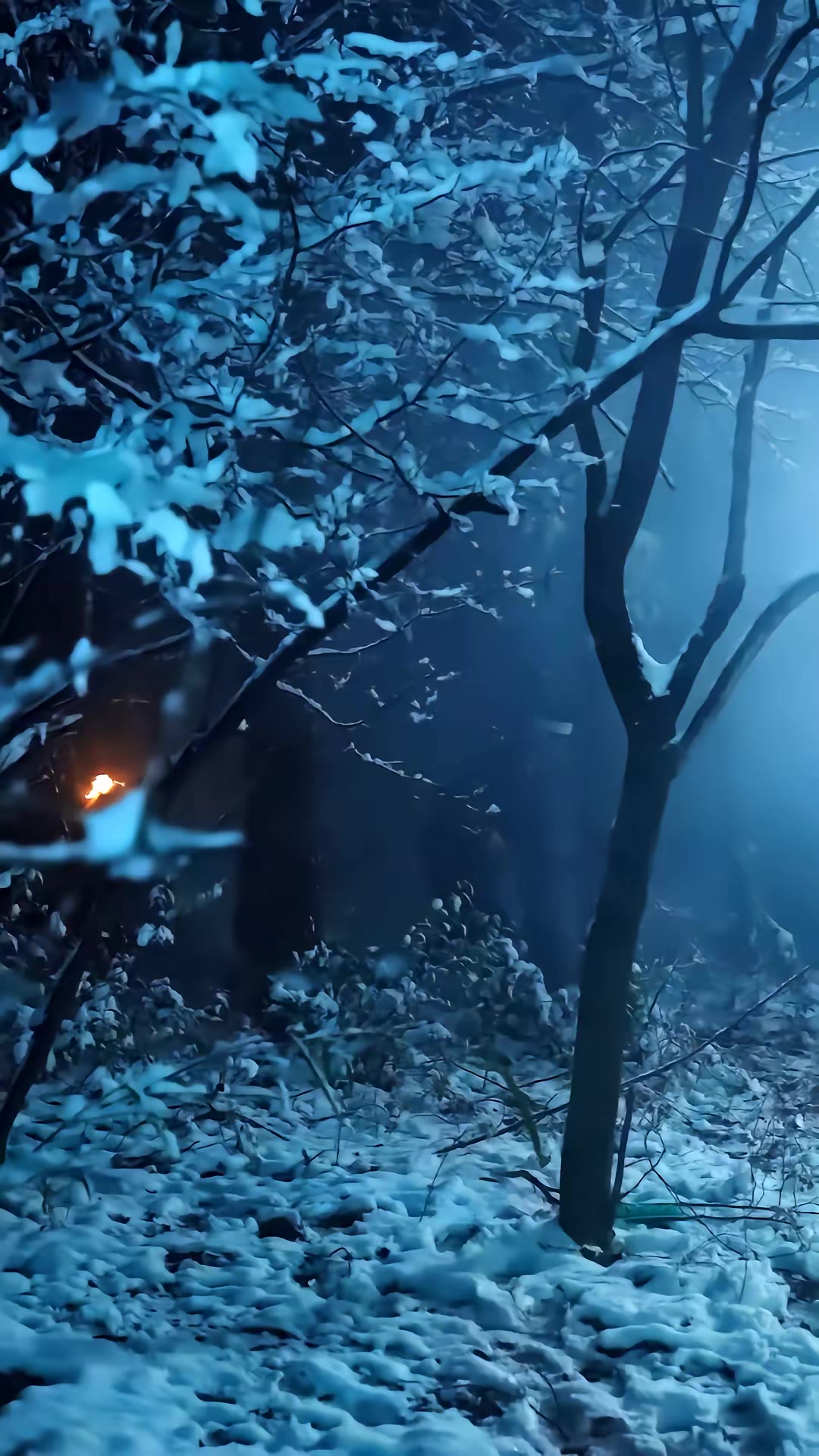 《僵尸，九叔座下最强门徒》剧照