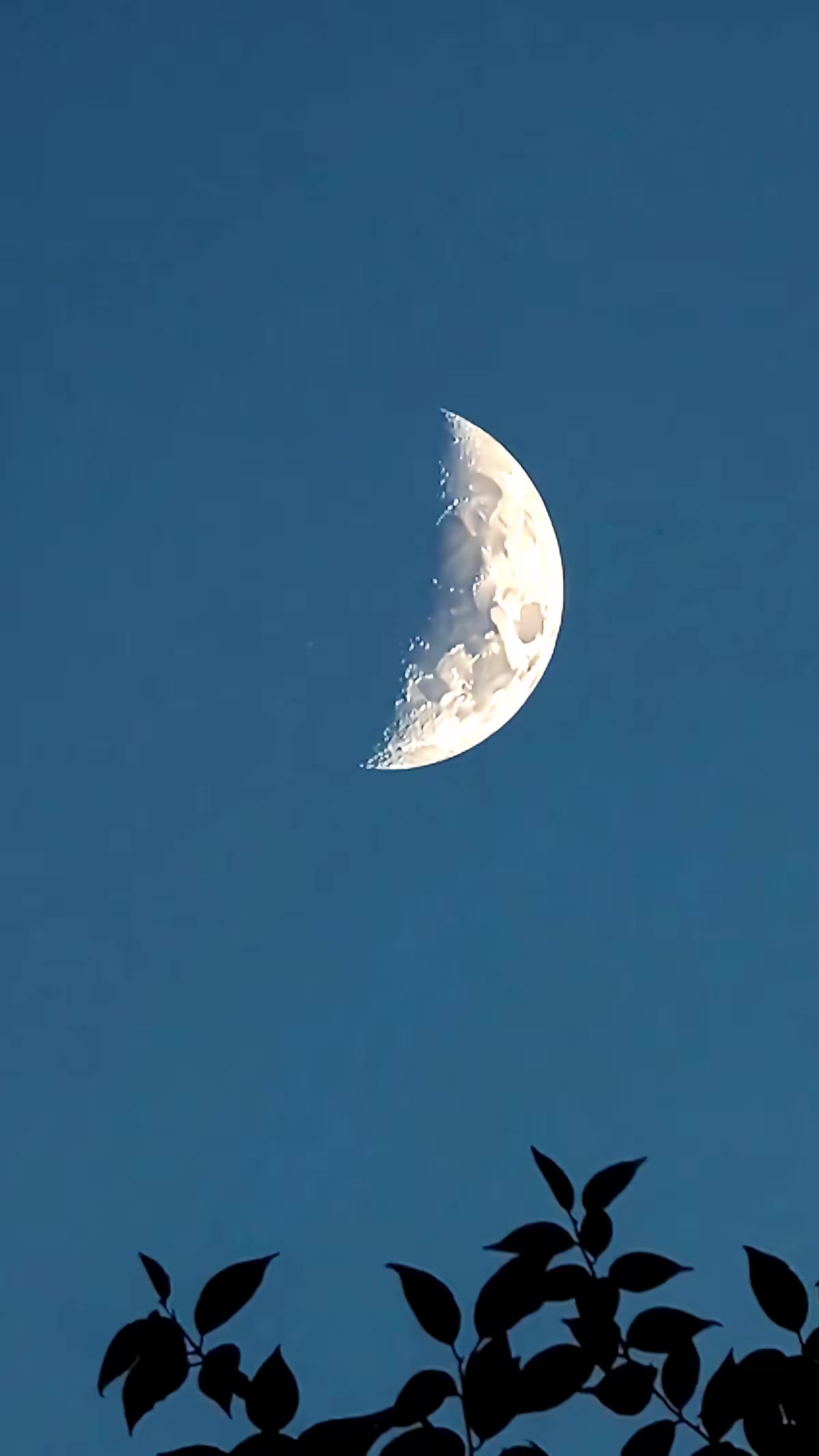 《一盞星星燈》劇照
