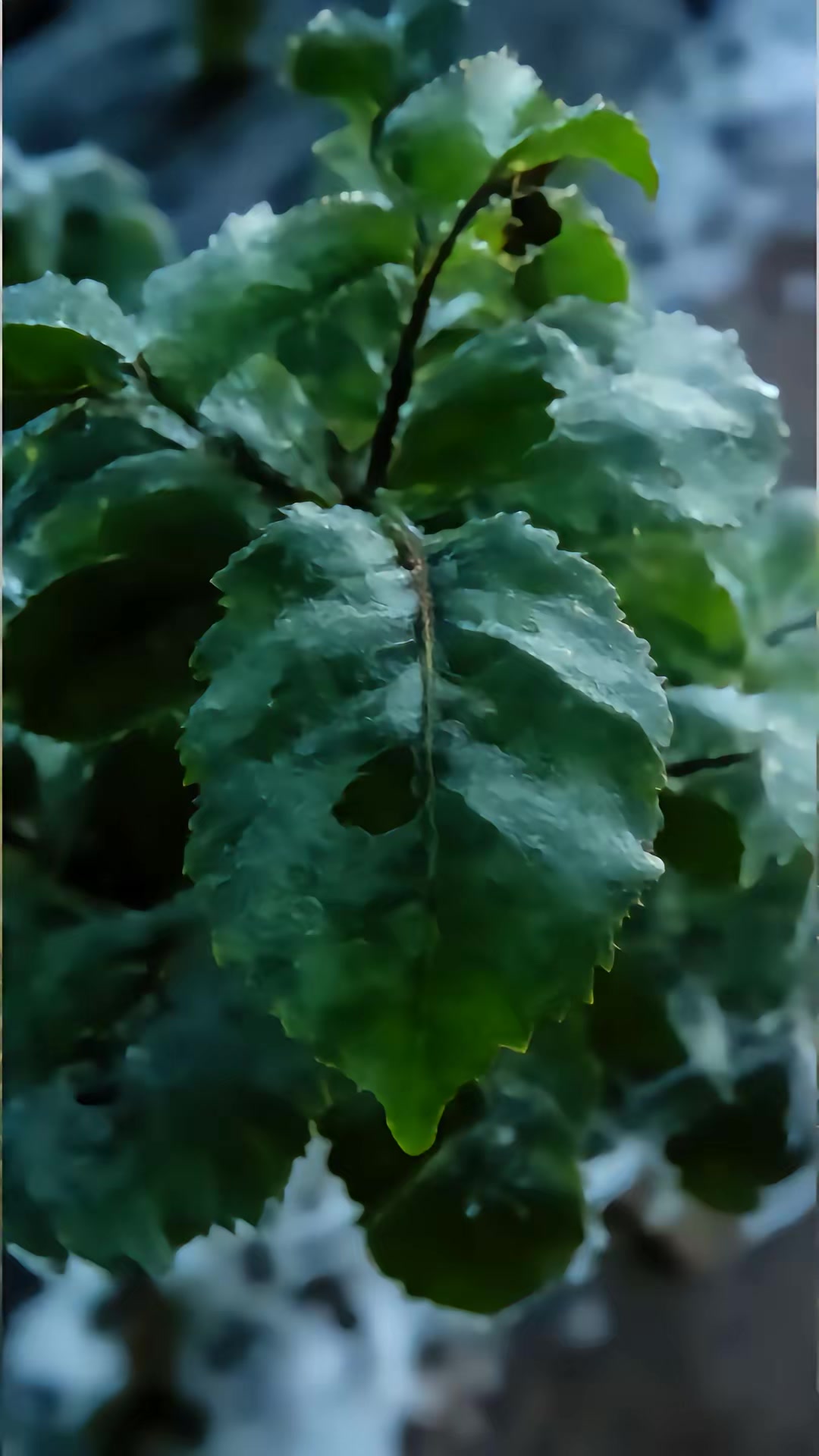 《末日瘴氣，我用布袋逆轉乾坤》劇照