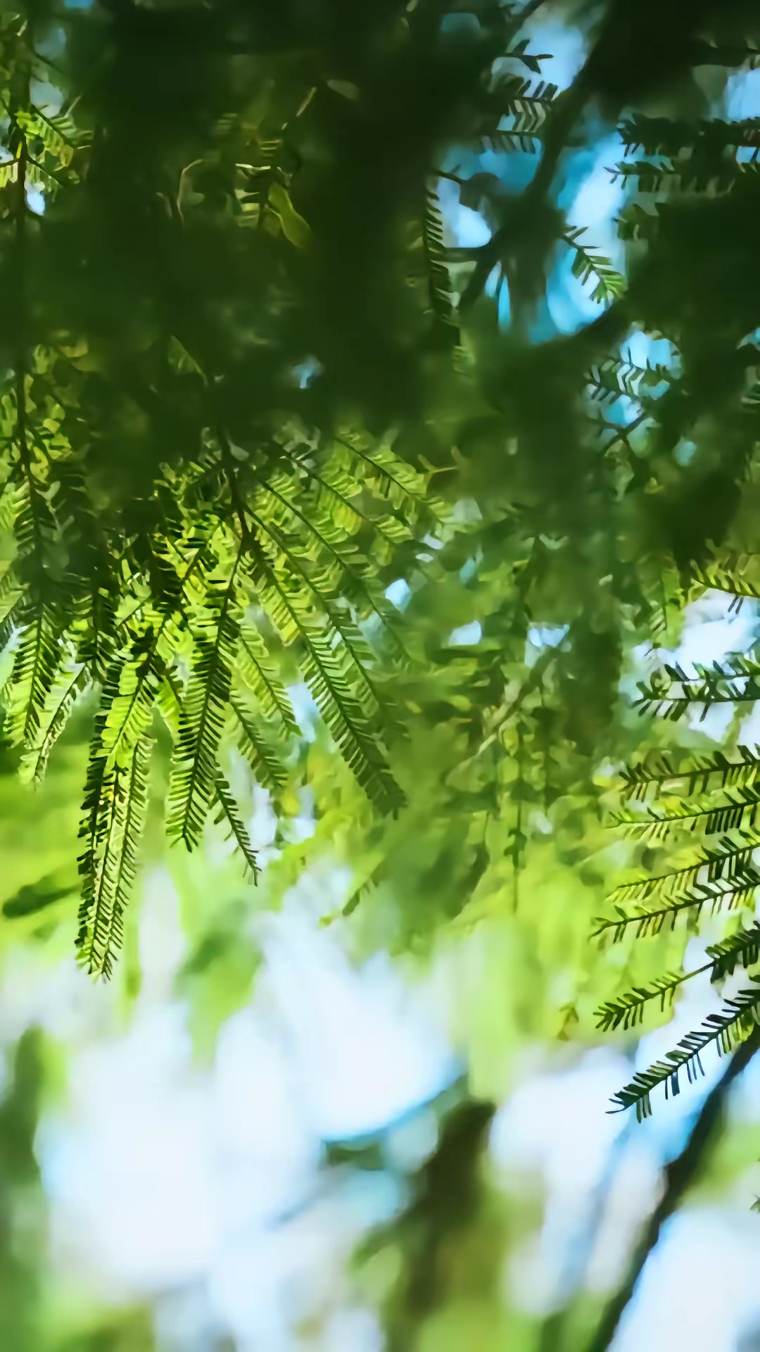 《失控甜吻》劇照