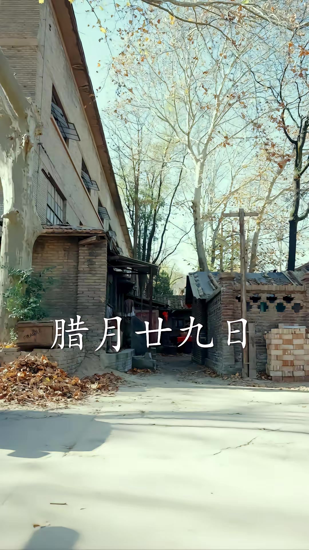 《暗金枭雄：开局踹翻恶组长》剧照