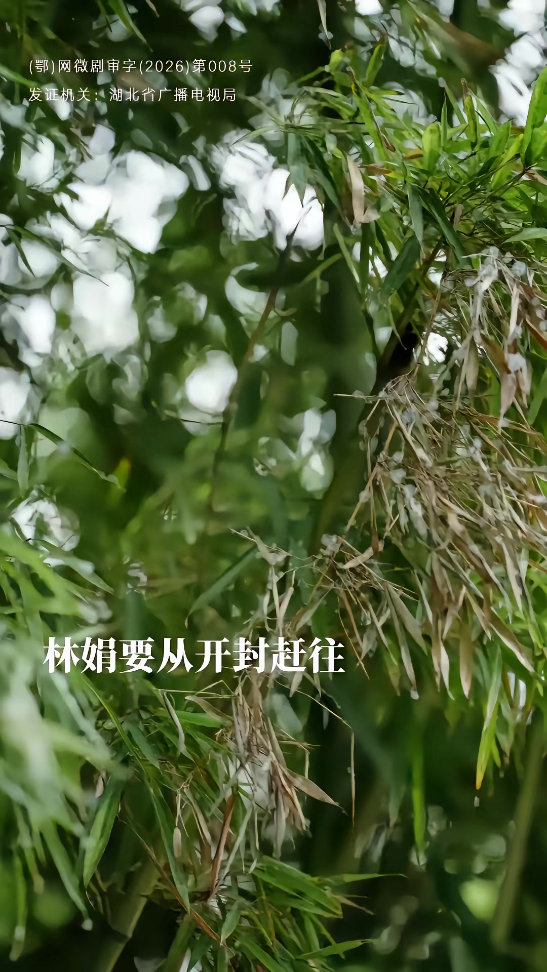 《代号：白云苍》剧照