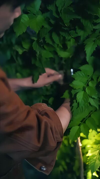 《爷爷留下枯井，竟是我的财富靠山》剧照