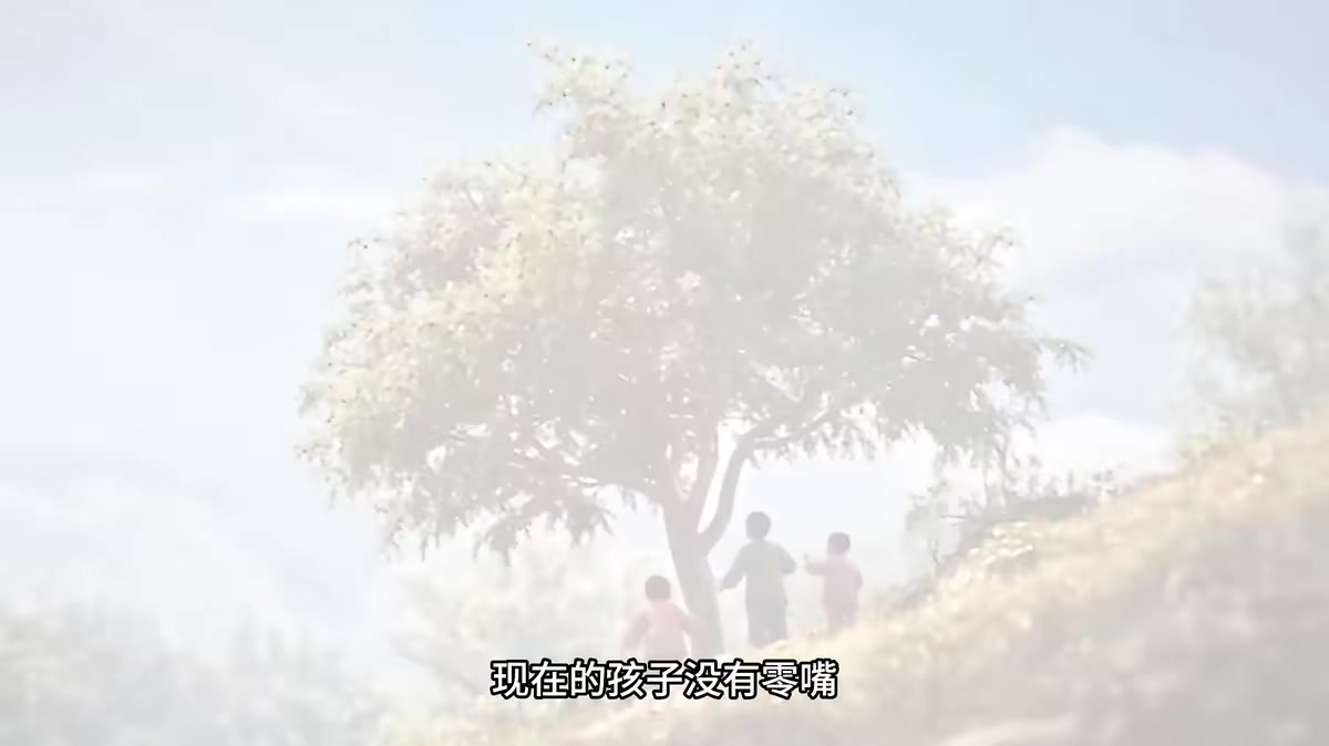 《白首與她歸，陪你等風來》劇照