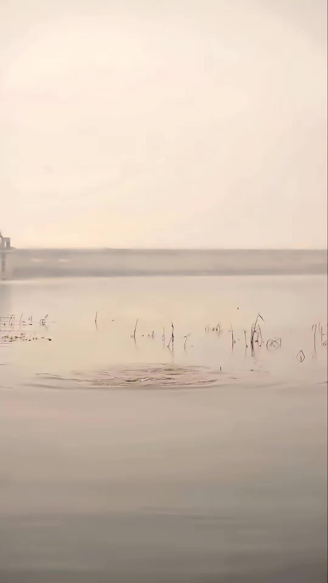 《河咒》劇照