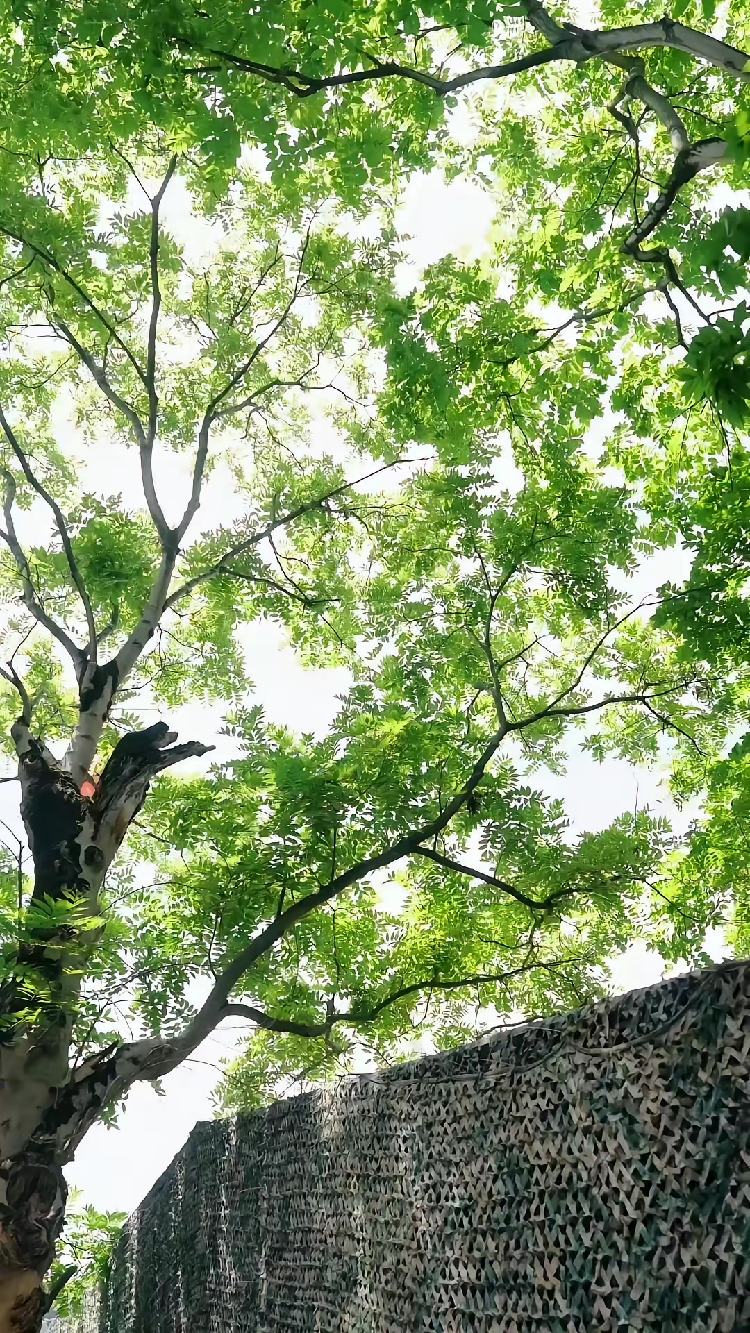 《归路》剧照