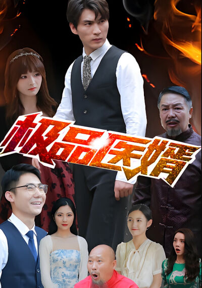 極品醫婿