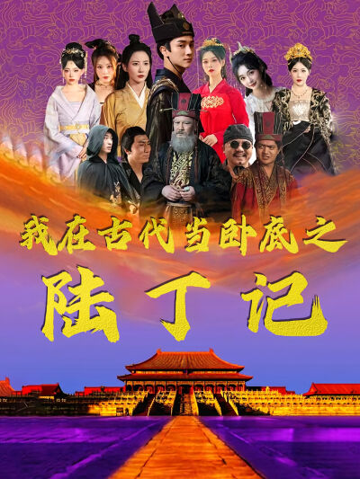 我在古代当卧底之陆丁记