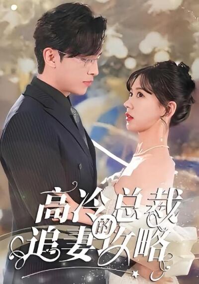 高冷總裁的追妻攻略