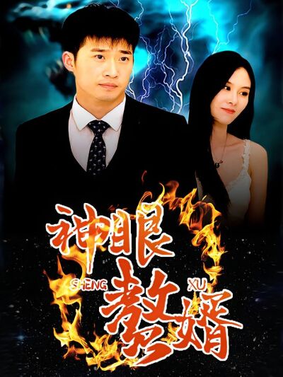 神眼贅婿