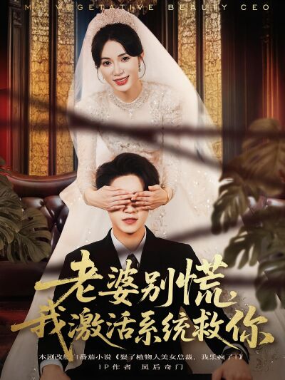 老婆别慌，我激活系统救你