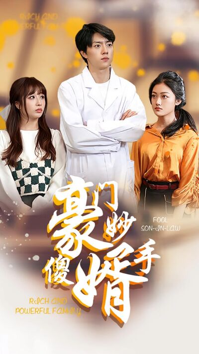豪門妙手傻婿