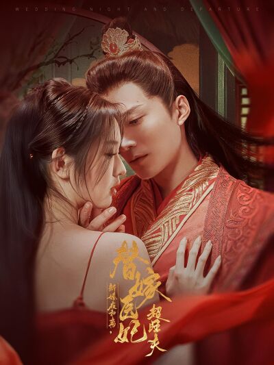 新婚夜和離，替嫁醫妃超旺夫