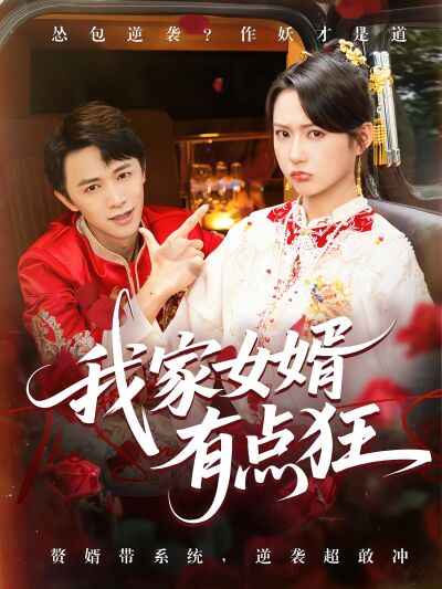 我家女婿有点狂
