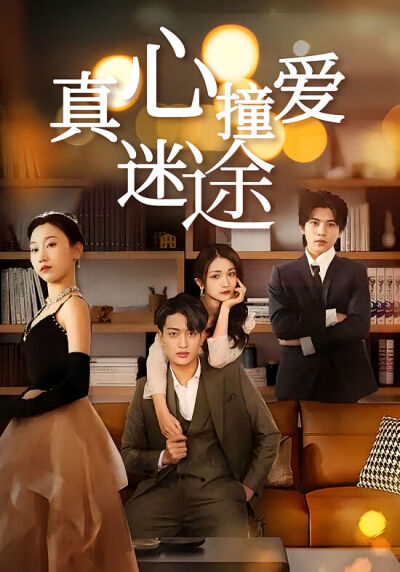 真心撞爱迷途