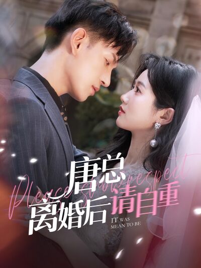 唐總離婚後請自重