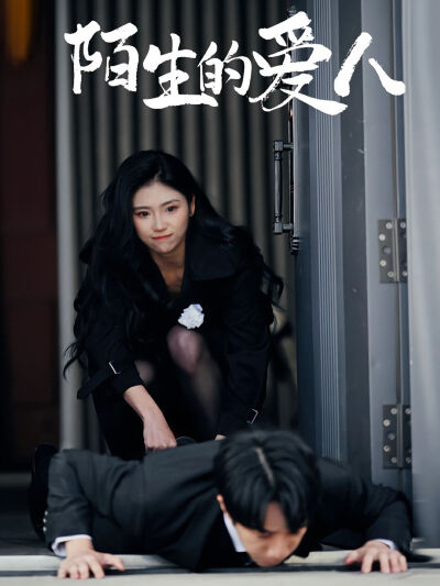 陌生的愛人