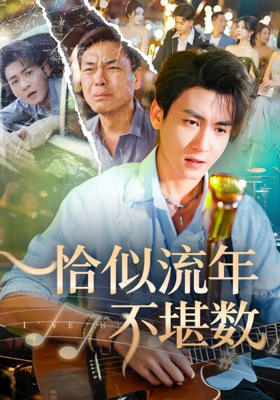 恰似流年不堪数