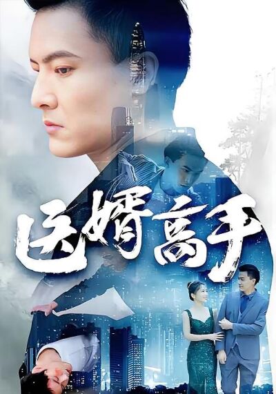 醫婿高手