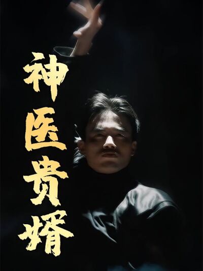 神醫貴婿