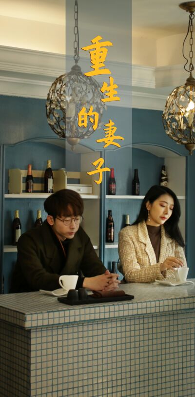 重生的妻子