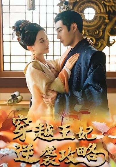 穿越王妃逆袭攻略