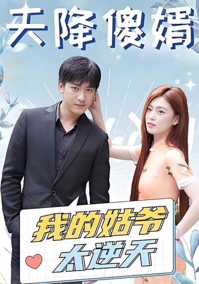 天降傻婿：我的姑爺太逆天
