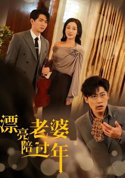 漂亮老婆陪過年