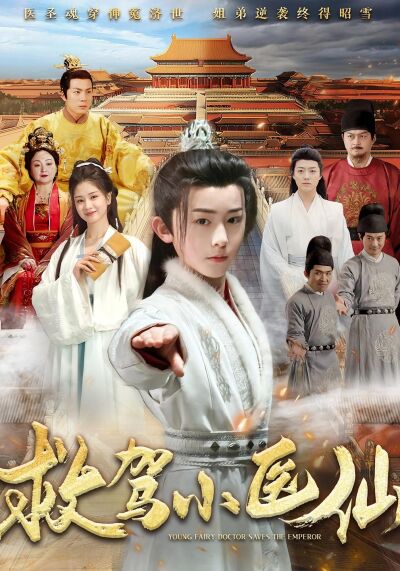 救駕小醫仙