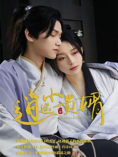 逍遙小貴婿