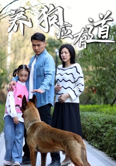 养狗应有道