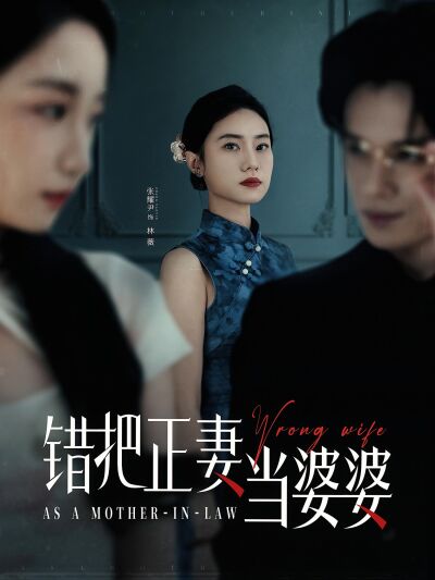 錯把正妻當婆婆