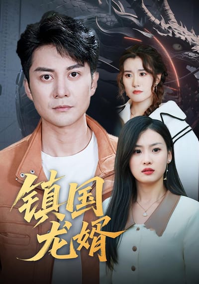 鎮國龍婿