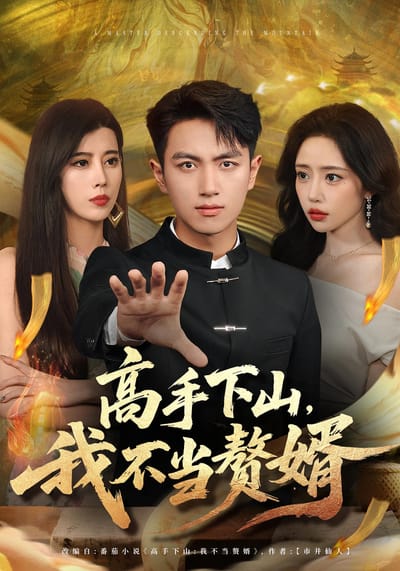 高手下山，我不當贅婿