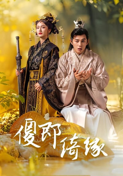 傻郎绮缘