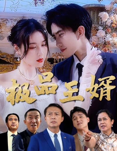 極品王婿