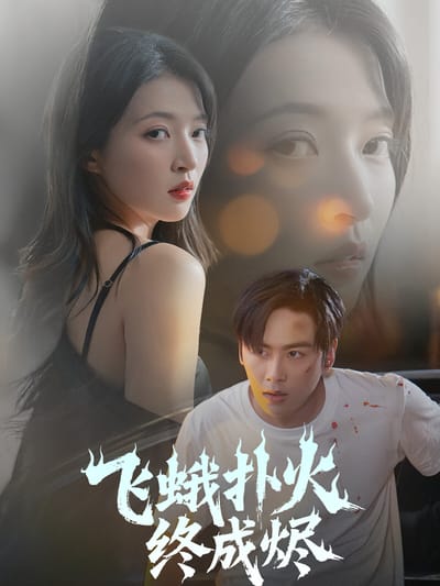 飞蛾扑火终成烬