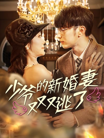 少爺的新婚妻又又又逃了
