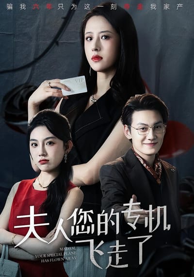 夫人您的專機飛走了