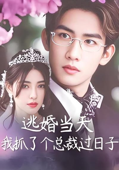 逃婚當天我抓了個總裁過日子