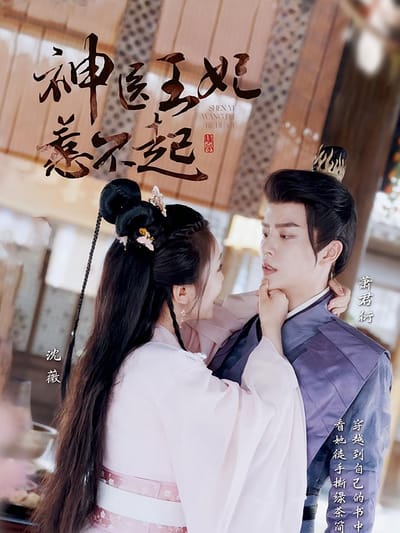 神醫王妃惹不起