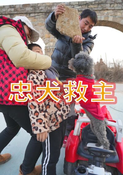忠犬救主